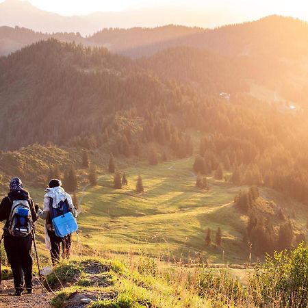 Heimatel - Ferienwohnungen Steibis Oberstaufen Extérieur photo