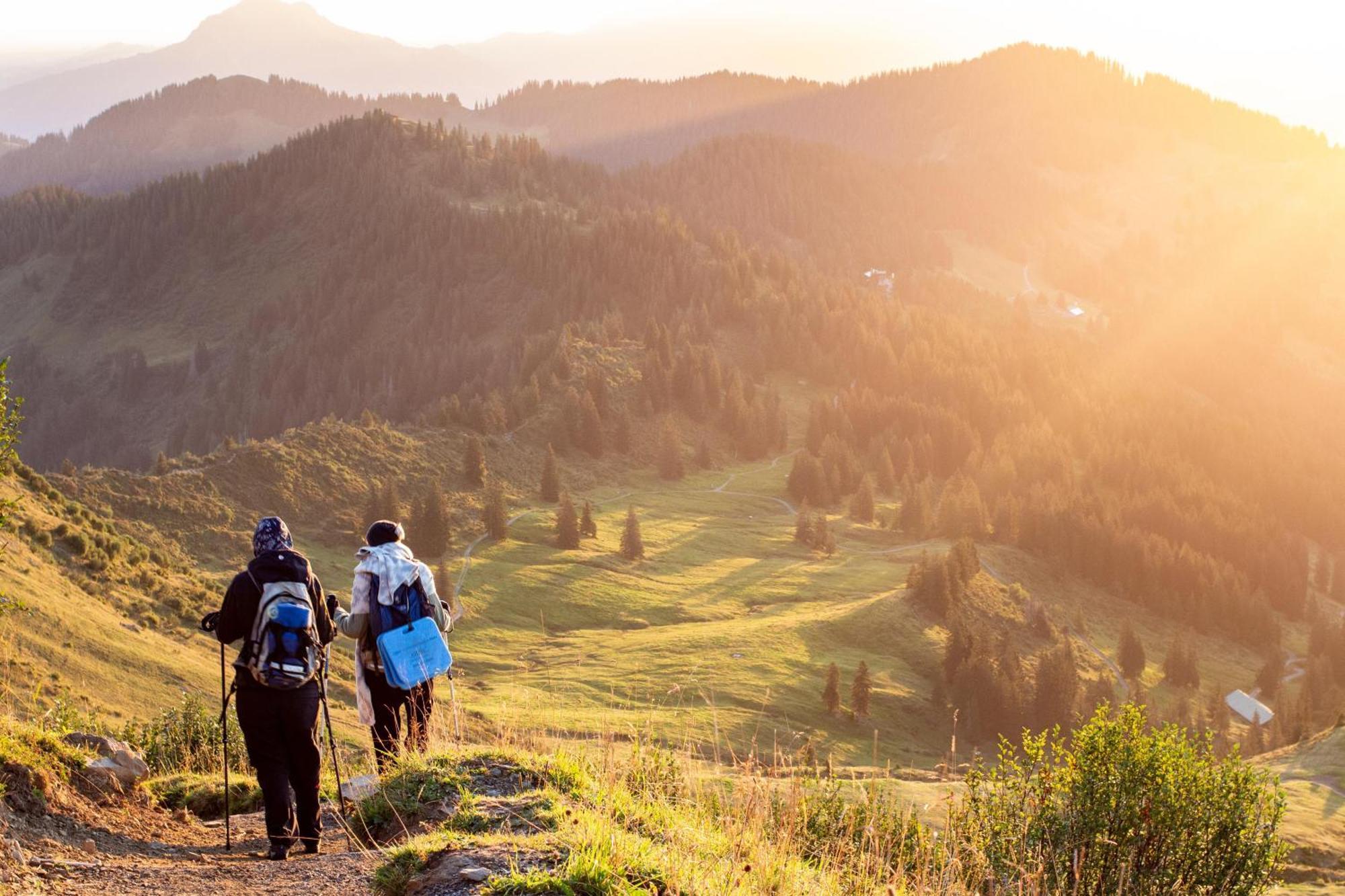 Heimatel - Ferienwohnungen Steibis Oberstaufen Extérieur photo